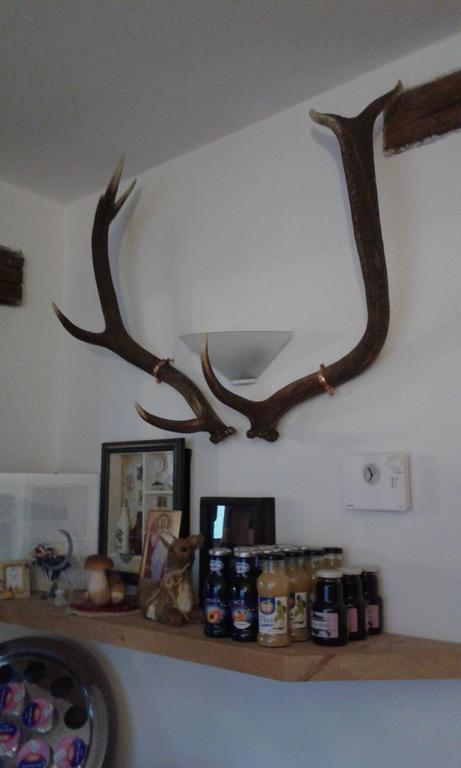 B&B Il Poster Cutigliano Buitenkant foto